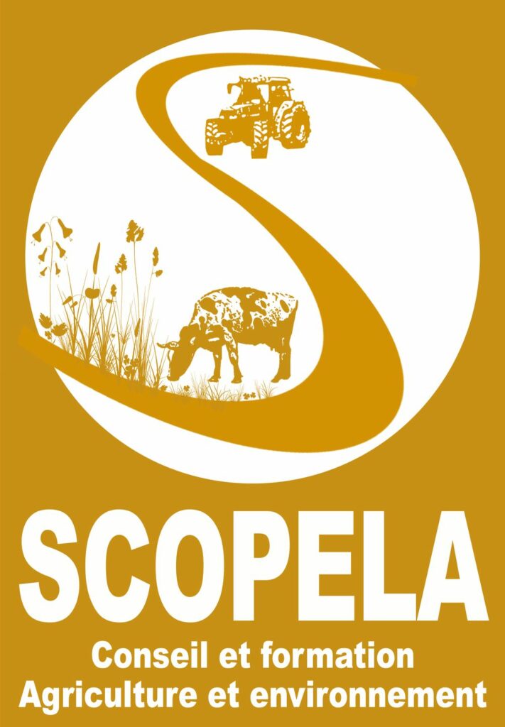 Scopela