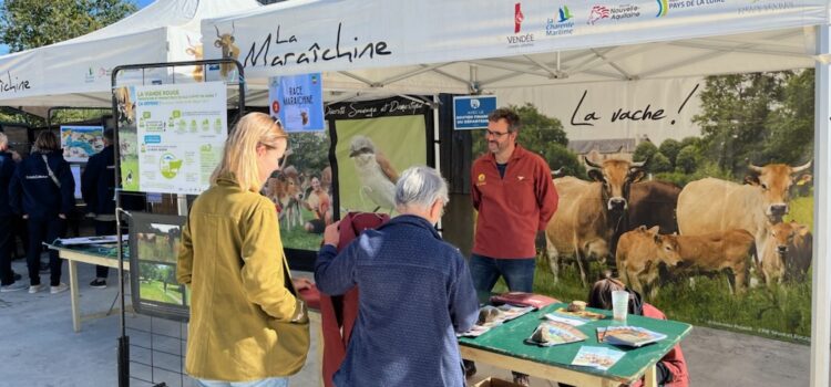 Stand St Pierre des Echaubrognes