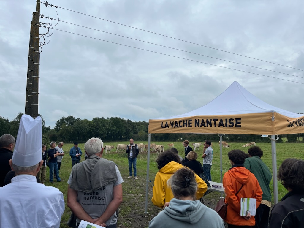 Remise des prix Nantaise - photo Sébastien Guilhemjouan