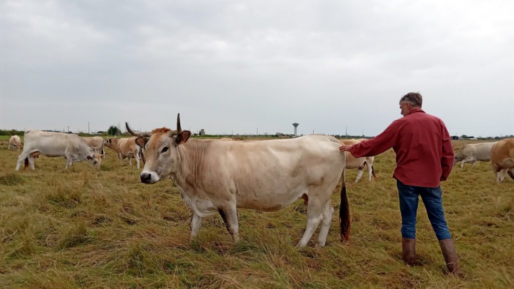 Visite agrobio35 Vendée Charente Maritime, octobre 2024