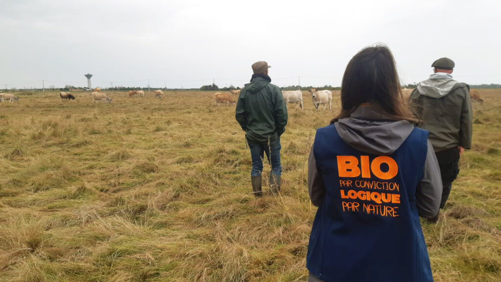 Visite agrobio35 Vendée Charente Maritime, octobre 2024