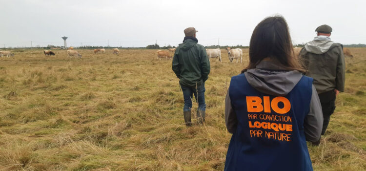 Visite agrobio35 Vendée Charente Maritime, octobre 2024