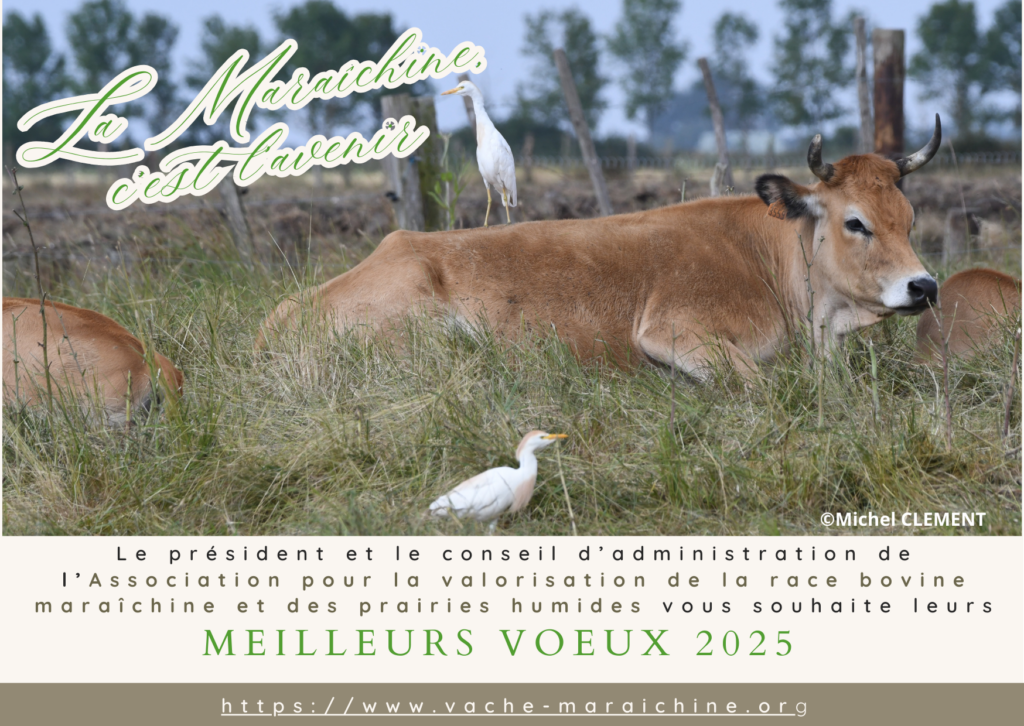 Voeux Maraîchins 2025