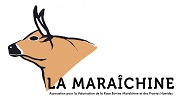 Maraîchine nouveau logo petit