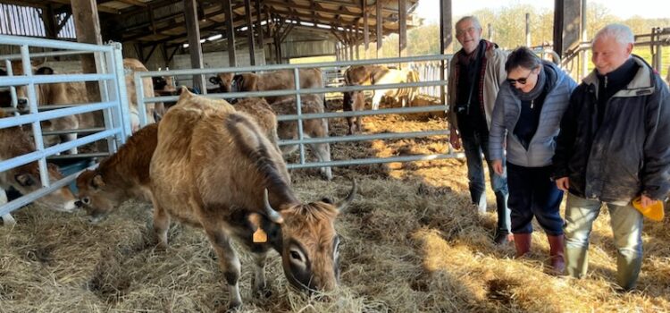 Parrainage vaches -photo ferme des Loriots